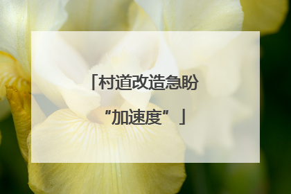 村道改造急盼“加速度”
