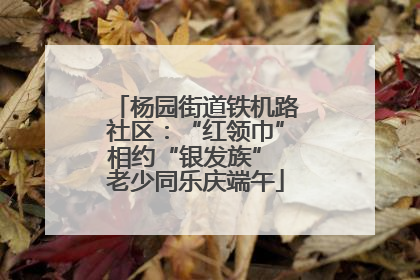 杨园街道铁机路社区：“红领巾”相约“银发族” 老少同乐庆端午