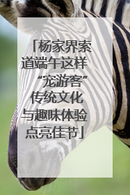 杨家界索道端午这样“宠游客” 传统文化与趣味体验点亮佳节