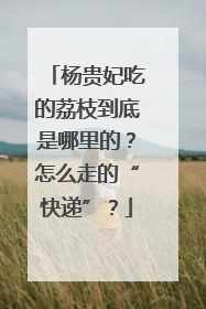 杨贵妃吃的荔枝到底是哪里的？怎么走的“快递”？