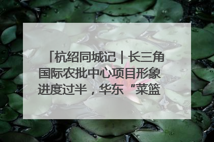 杭绍同城记｜长三角国际农批中心项目形象进度过半，华东“菜篮子”建设加码提速！