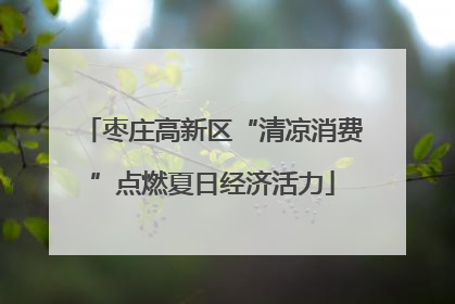 枣庄高新区“清凉消费”点燃夏日经济活力