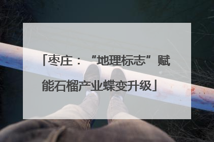 枣庄：“地理标志”赋能石榴产业蝶变升级