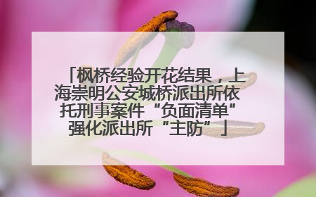 枫桥经验开花结果，上海崇明公安城桥派出所依托刑事案件“负面清单”强化派出所“主防”