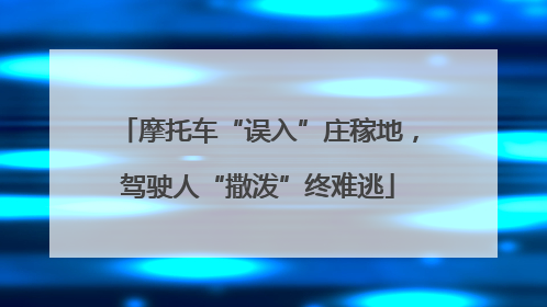 摩托车“误入”庄稼地，驾驶人“撒泼”终难逃