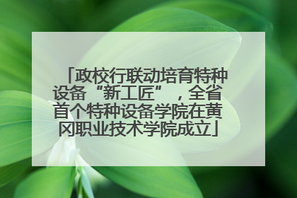 政校行联动培育特种设备“新工匠”，全省首个特种设备学院在黄冈职业技术学院成立