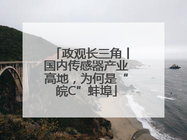 政观长三角丨国内传感器产业高地，为何是“皖C”蚌埠