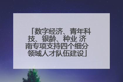 数字经济、青年科技、银龄、种业 济南专项支持四个细分领域人才队伍建设