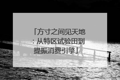 方寸之间见天地：从特区试验田到提振消费引擎