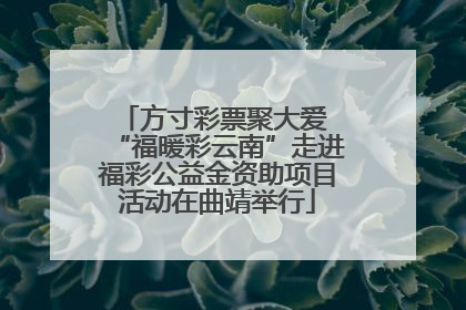 方寸彩票聚大爱 “福暖彩云南”走进福彩公益金资助项目活动在曲靖举行