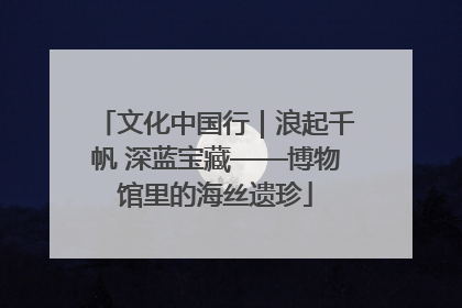 文化中国行｜浪起千帆 深蓝宝藏——博物馆里的海丝遗珍