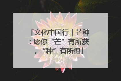 文化中国行｜芒种：愿你“芒”有所获，“种”有所得
