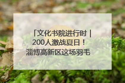 文化书院进行时｜200人激战夏日！淄博高新区这场羽毛球比赛太酷