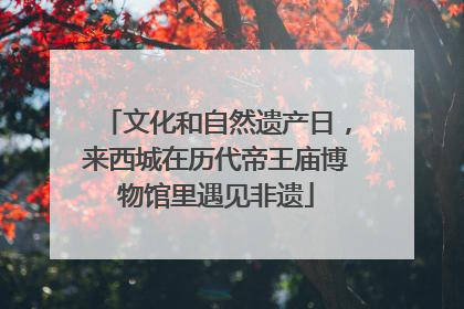 文化和自然遗产日，来西城在历代帝王庙博物馆里遇见非遗