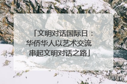 文明对话国际日：华侨华人以艺术交流串起文明对话之路