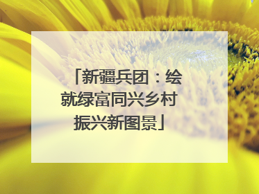 新疆兵团：绘就绿富同兴乡村振兴新图景