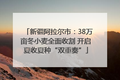 新疆阿拉尔市：38万亩冬小麦全面收割 开启夏收夏种“双重奏”