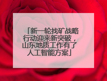 新一轮找矿战略行动迎来新突破，山东地质工作有了人工智能方案