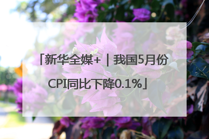 新华全媒+｜我国5月份CPI同比下降0.1%