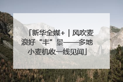 新华全媒+｜风吹麦浪好“丰”景——多地小麦机收一线见闻