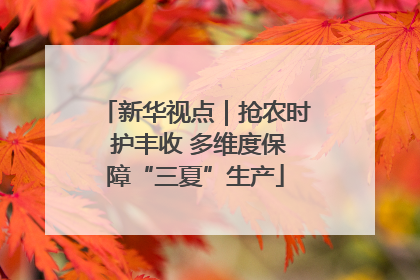 新华视点｜抢农时 护丰收 多维度保障“三夏”生产