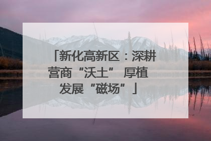 新化高新区：深耕营商“沃土” 厚植发展“磁场”