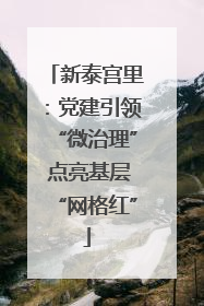 新泰宫里：党建引领“微治理” 点亮基层“网格红”
