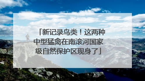 新记录鸟类！这两种中型猛禽在南滚河国家级自然保护区现身了