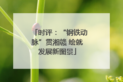 时评：“钢铁动脉”贯湘赣 绘就发展新图景