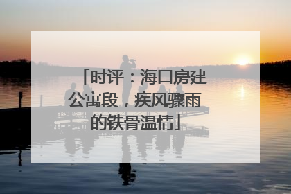 时评：海口房建公寓段，疾风骤雨的铁骨温情