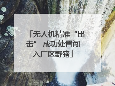 无人机精准“出击” 成功处置闯入厂区野猪