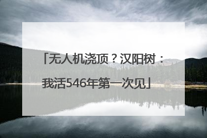 无人机浇顶？汉阳树：我活546年第一次见