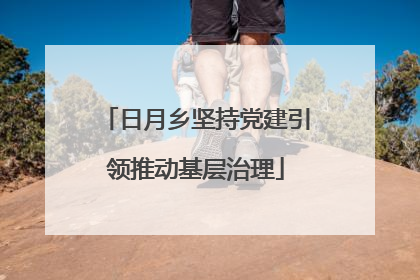 日月乡坚持党建引领推动基层治理