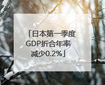 日本第一季度GDP折合年率减少0.2%