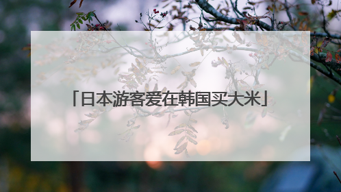 日本游客爱在韩国买大米