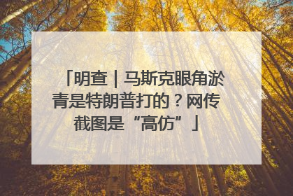 明查｜马斯克眼角淤青是特朗普打的？网传截图是“高仿”
