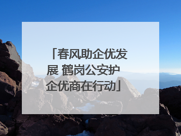 春风助企优发展 鹤岗公安护企优商在行动