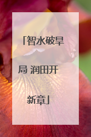 智水破旱局 润田开新章