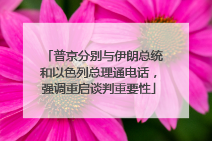 普京分别与伊朗总统和以色列总理通电话，强调重启谈判重要性
