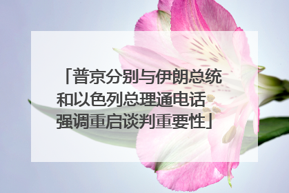 普京分别与伊朗总统和以色列总理通电话 强调重启谈判重要性