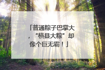 普通粽子巴掌大，“横县大粽”却像个巨无霸！