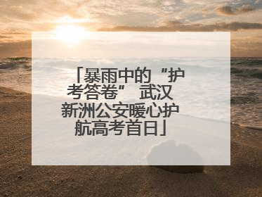暴雨中的“护考答卷” 武汉新洲公安暖心护航高考首日