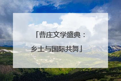 曹庄文学盛典：乡土与国际共舞