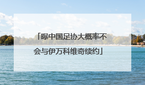 曝中国足协大概率不会与伊万科维奇续约