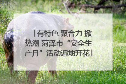 有特色 聚合力 掀热潮 菏泽市“安全生产月”活动遍地开花