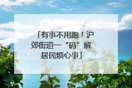 有事不用跑！沪郊街道一“码”解居民烦心事