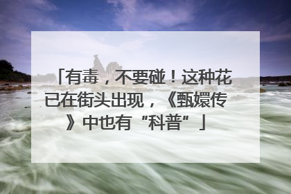 有毒，不要碰！这种花已在街头出现，《甄嬛传》中也有“科普”