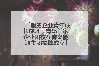 服务企业青年成长成才，青岛首家企业团校在青岛能源集团揭牌成立