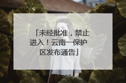 未经批准，禁止进入！云南一保护区发布通告