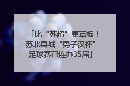 比“苏超”更草根！苏北县城“男子汉杯”足球赛已连办35届